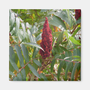 Plume of Flowers Magnet