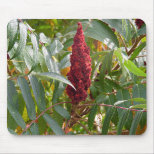 Plume of Flowers Mouse Pad