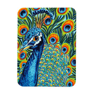 Plumed Peacock I Magnet
