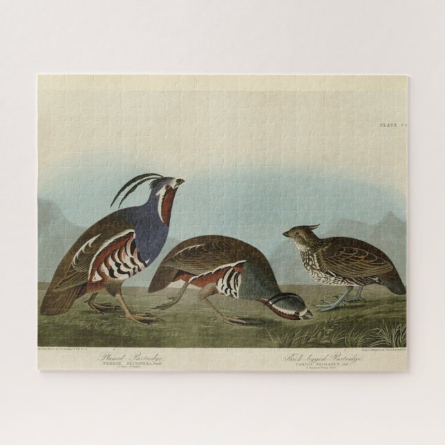 Plumed & Thick-legged Partridges - Audubon's Birds Jigsaw Puzzle (Horizontal)