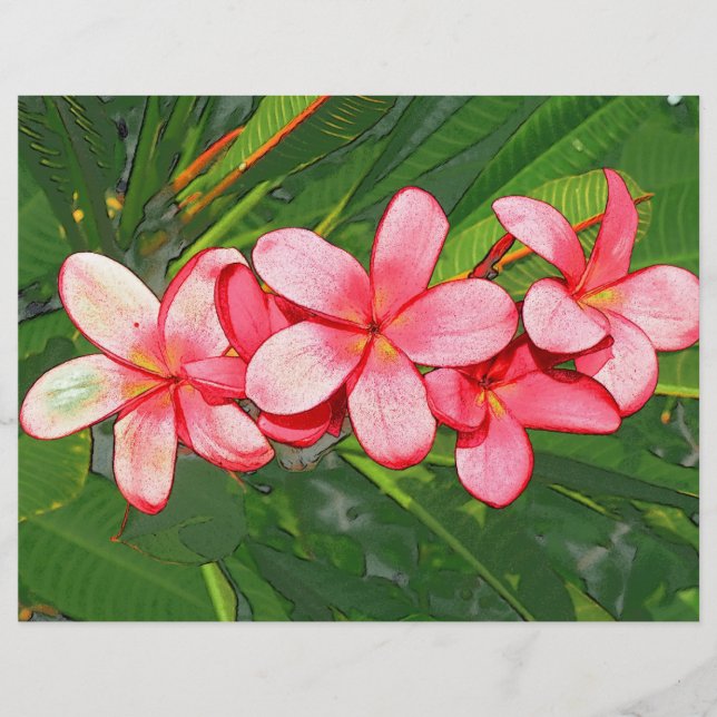Plumeria (Front)