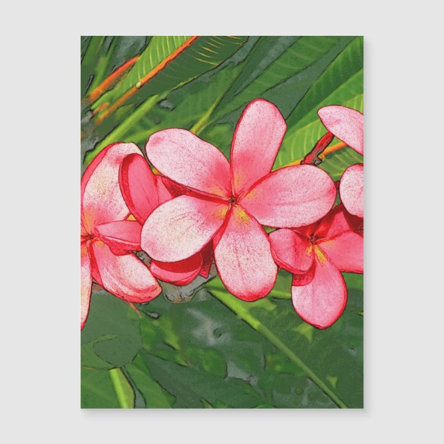Plumeria (Front)