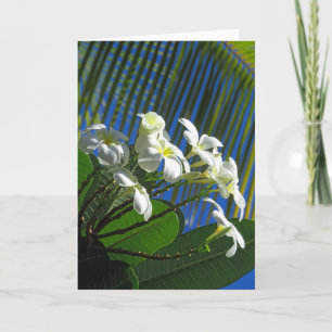 Plumeria and Palm Card