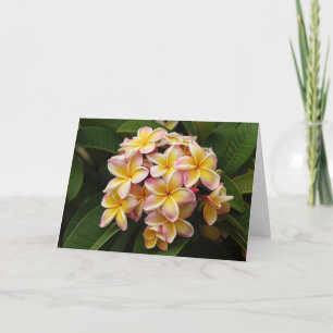 Plumeria Art note card. Card