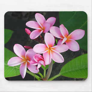 Plumeria at Virgin Gorda Bitter End Yacht Club Mouse Pad