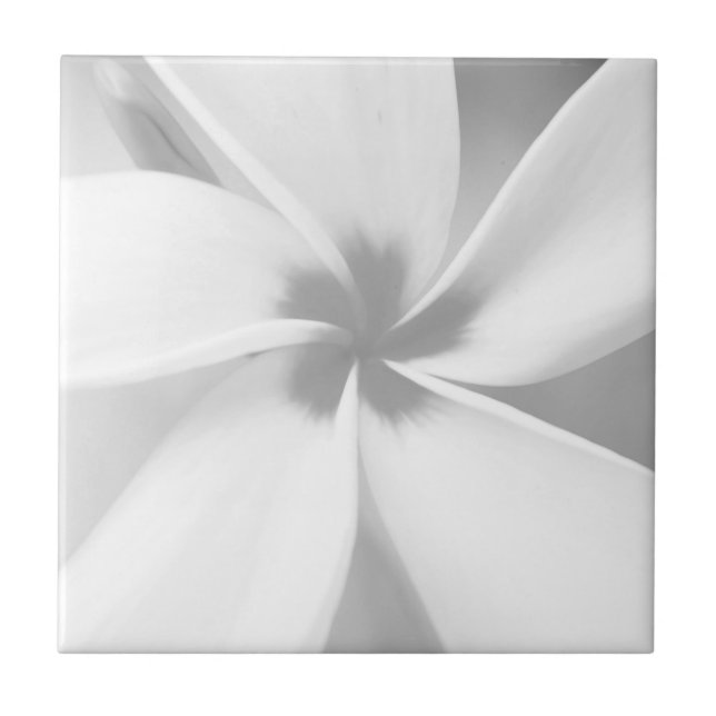 Plumeria - Black and White Macro Portrait Ceramic Tile (Front)