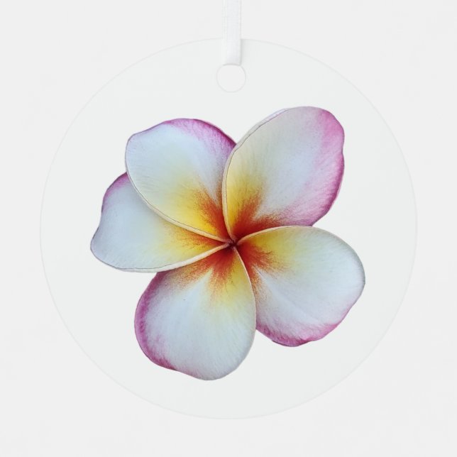 Plumeria Bloom Metal Ornament (Front)