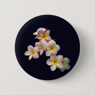 Plumeria blossoms on dark blue 6 cm round badge