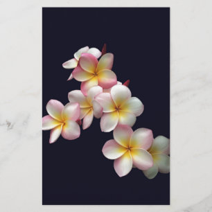 Plumeria blossoms on dark blue stationery
