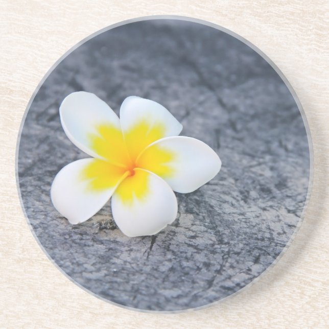 Plumeria Coaster (Front)