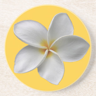 Plumeria Coaster