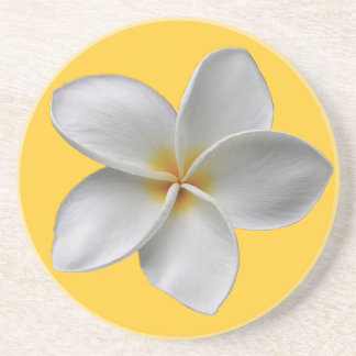 Plumeria Coaster