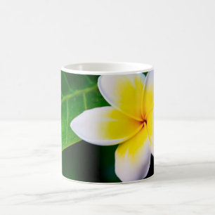 plumeria coffee mug