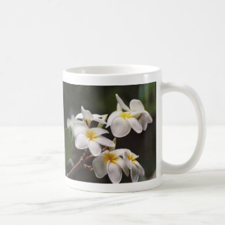 plumeria coffee mug