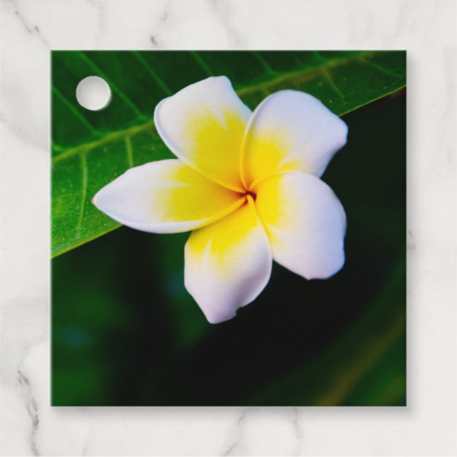 plumeria favour tags (Front)