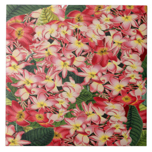 Plumeria Floral Garden Tropical Flower Tile