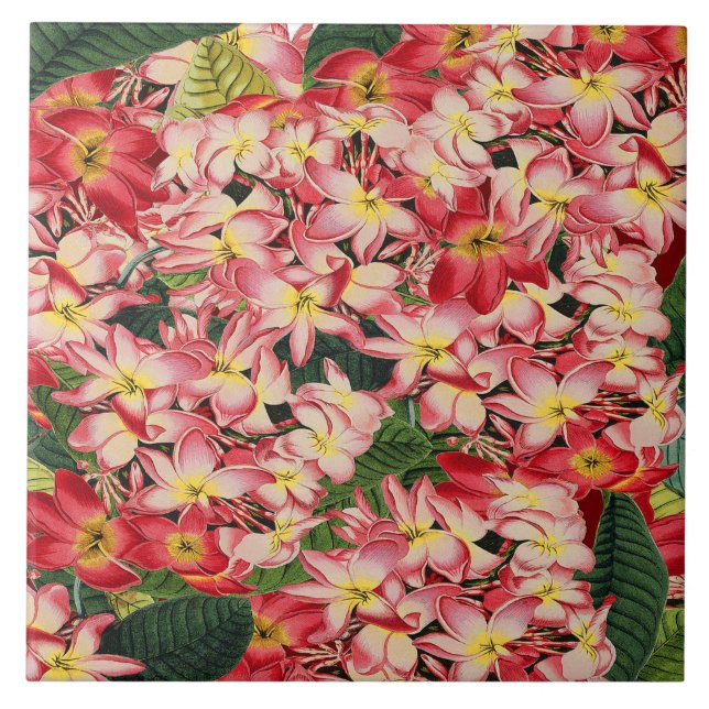 Plumeria Floral Garden Tropical Flower Tile (Front)
