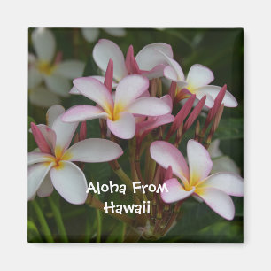 Plumeria Flower Magnet