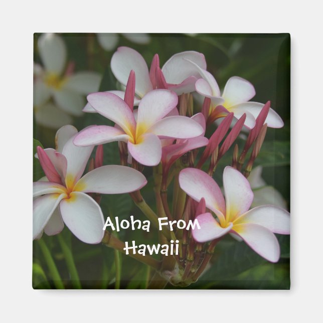 Plumeria Flower Magnet (Front)