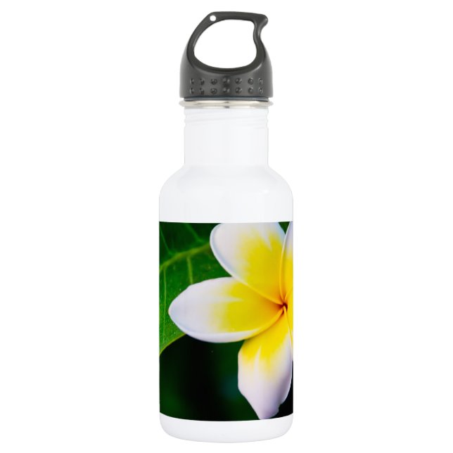Plumeria Flower Photography 532 Ml Water Bottle (Front)