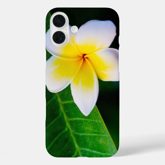 Plumeria Flower Photography Case-Mate iPhone Case (Back)