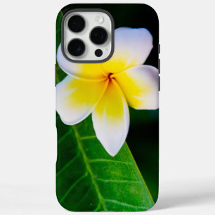 Plumeria Flower Photography iPhone 16 Pro Max Case