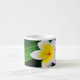 Plumeria Flower Photography Espresso Cup