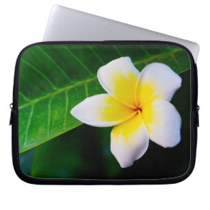 Plumeria Flower Photography Laptop Sleeve