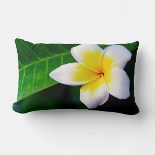 Plumeria Flower Photography Lumbar Cushion