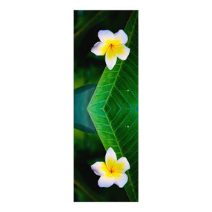 Plumeria Flower Photography Photo Print