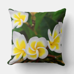 Plumeria flowers close-up, Hawaii Cushion