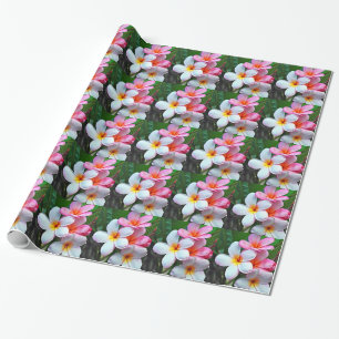 Plumeria flowers frangipani wrapping paper