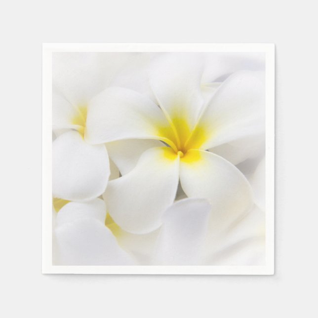 Plumeria Flowers Hawaiian Frangipani Floral Flower Napkin (Front)