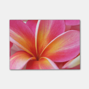 Plumeria Flowers Hawaiian Frangipani Floral Flower Post-it Notes