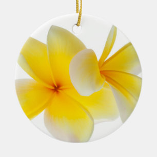 Plumeria Flowers Hawaiian White Yellow Frangipani Ceramic Ornament