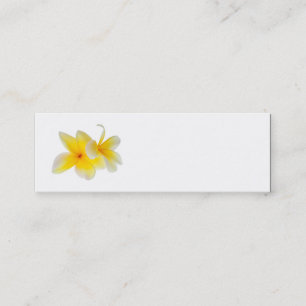 Plumeria Flowers Hawaiian White Yellow Frangipani Mini Business Card