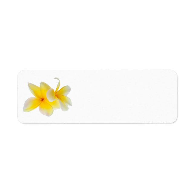 Plumeria Flowers Hawaiian White Yellow Frangipani Return Address Label (Front)