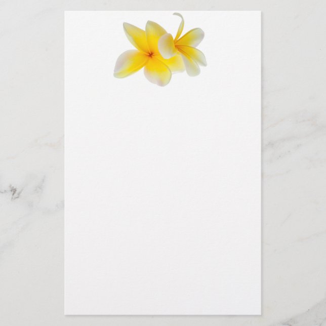 Plumeria Flowers Hawaiian White Yellow Frangipani Stationery (Front)
