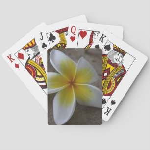 Plumeria - Frangipani Floral Photograph Playing Cards