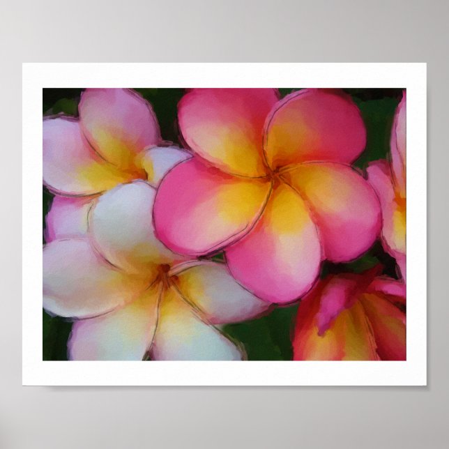 Plumeria Frangipani Flowers Watercolor Sketch Poster (Front)