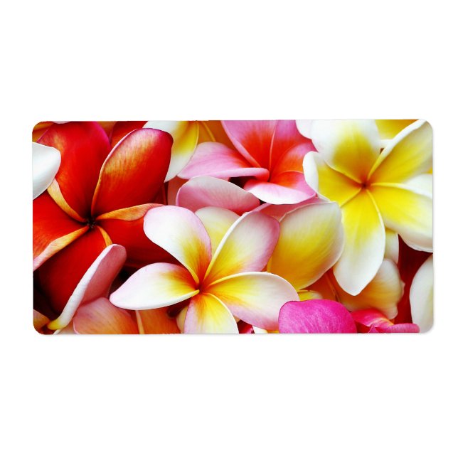 Plumeria Frangipani Hawaii Flower Customised (Front)