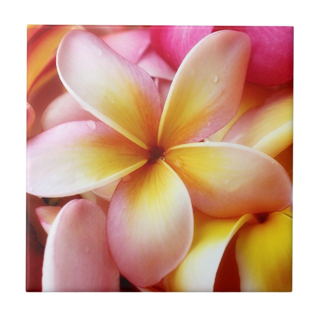 Plumeria Frangipani Hawaii Flower Customised Blank Ceramic Tile (Front)