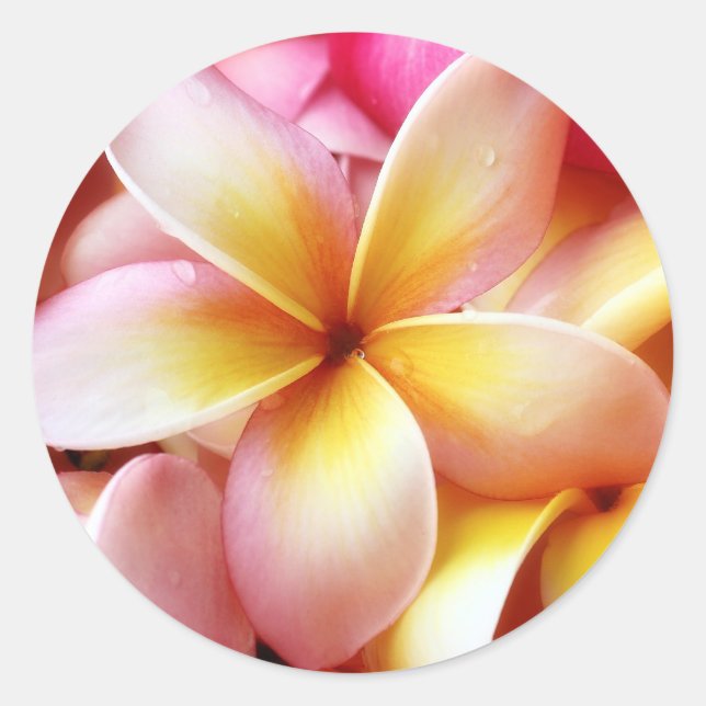 Plumeria Frangipani Hawaii Flower Customised Blank Classic Round Sticker (Front)