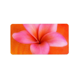Plumeria Frangipani Hawaii Flower Customised Blank Label