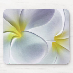 Plumeria Frangipani Hawaii Flower Customised Blank Mouse Pad