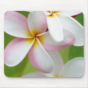 Plumeria Frangipani Hawaii Flower Customised Blank Mouse Pad