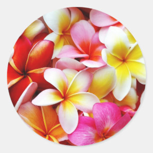 Plumeria Frangipani Hawaii Flower Customised Classic Round Sticker