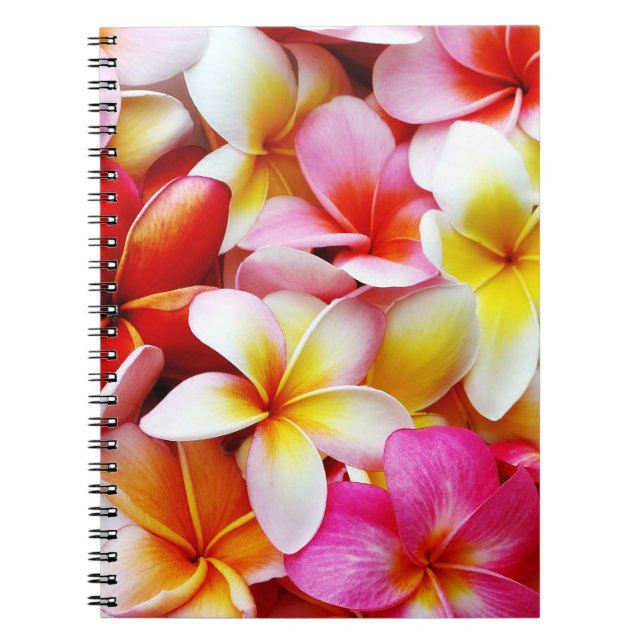 Plumeria Frangipani Hawaii Flower Customised Notebook (Front)