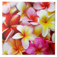 Plumeria Frangipani Hawaii Flower Customised