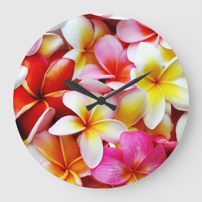 Plumeria Frangipani Hawaii Flower Customized Large Clock (Front)